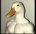 Test Duck